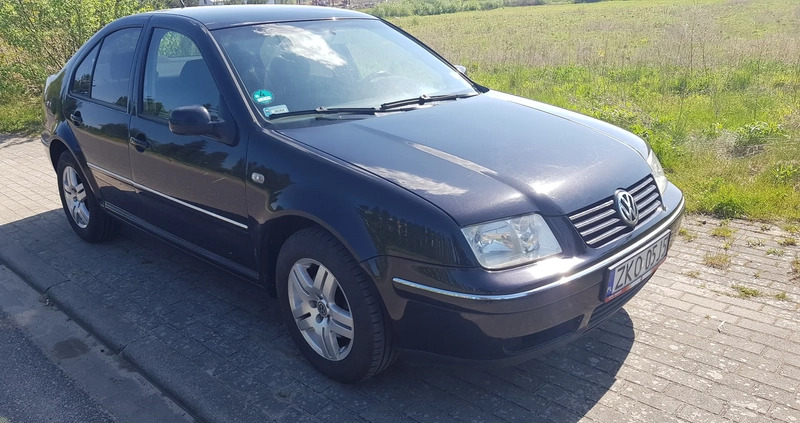 Volkswagen Bora cena 6600 przebieg: 250000, rok produkcji 2002 z Kołobrzeg małe 67